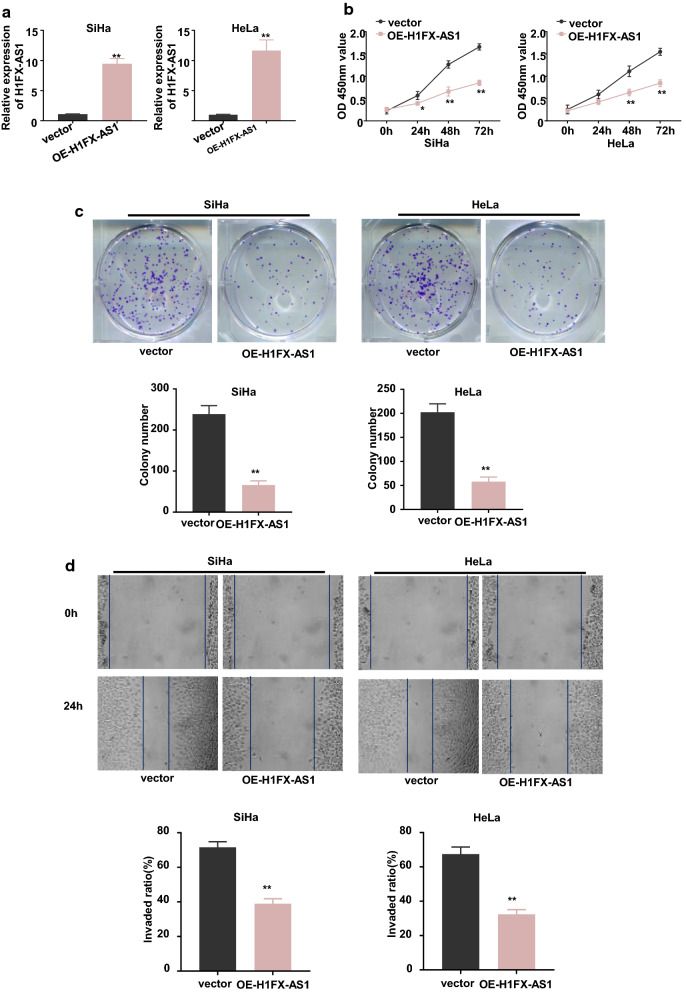 Fig. 2