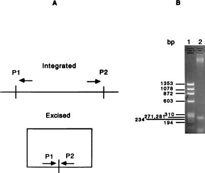 FIG. 5
