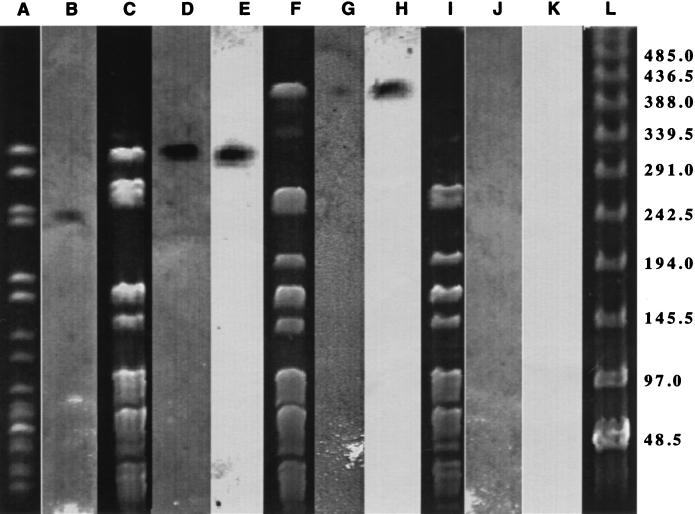 FIG. 6