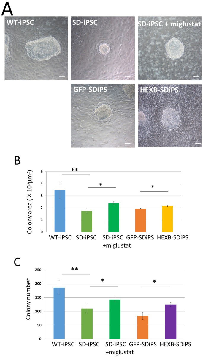 Fig 6