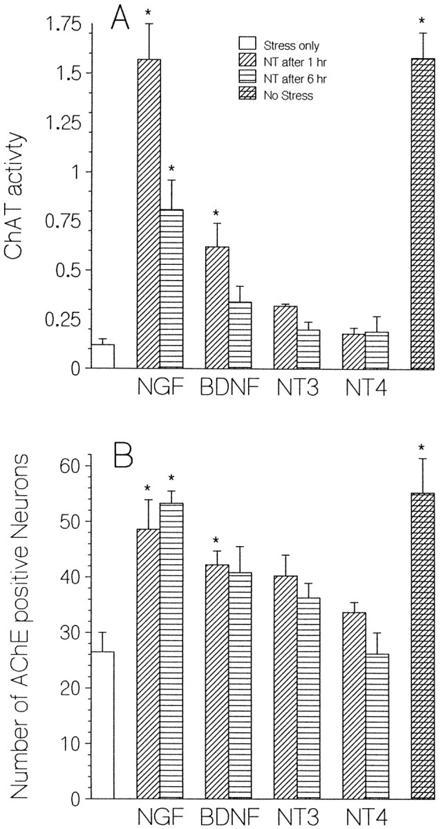 Fig. 9.