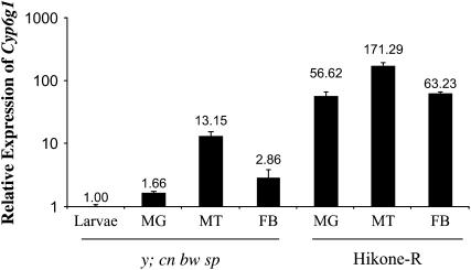 Figure 2.—