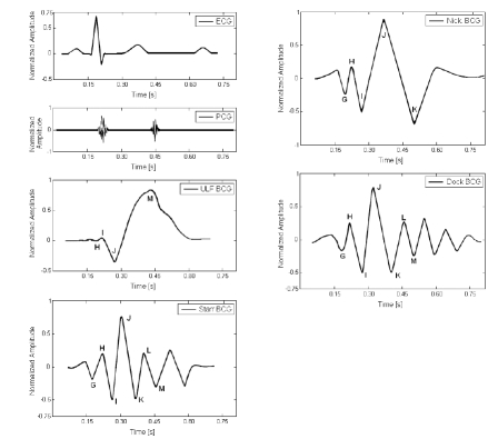 Fig. (1)