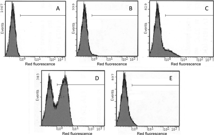 Fig 4