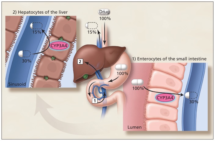 Figure 1: