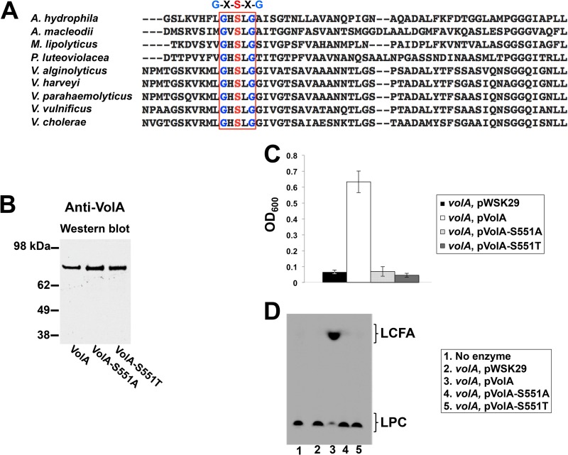 FIG 6