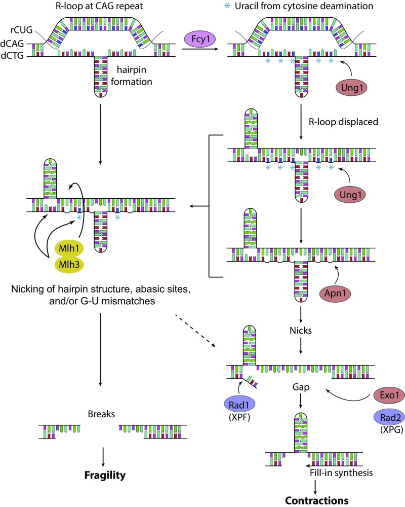 Fig. 6.