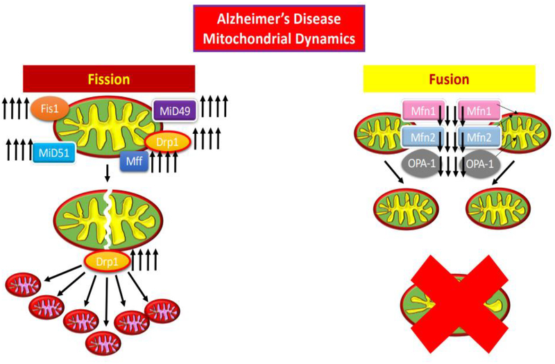 Figure 4: