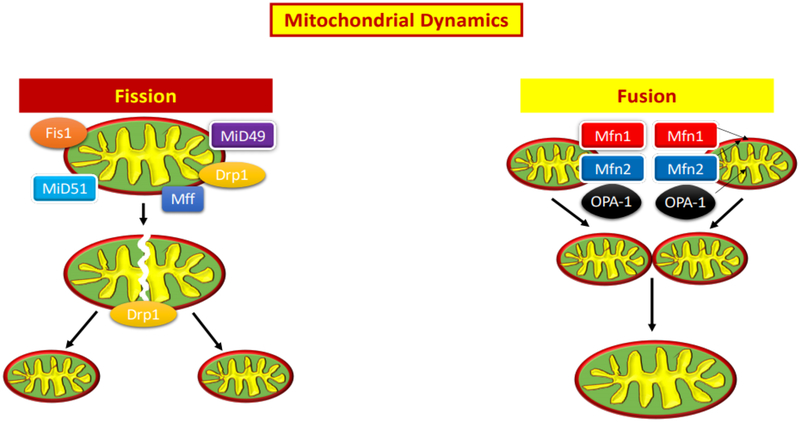 Figure 3: