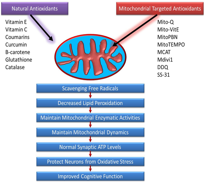 Figure 5: