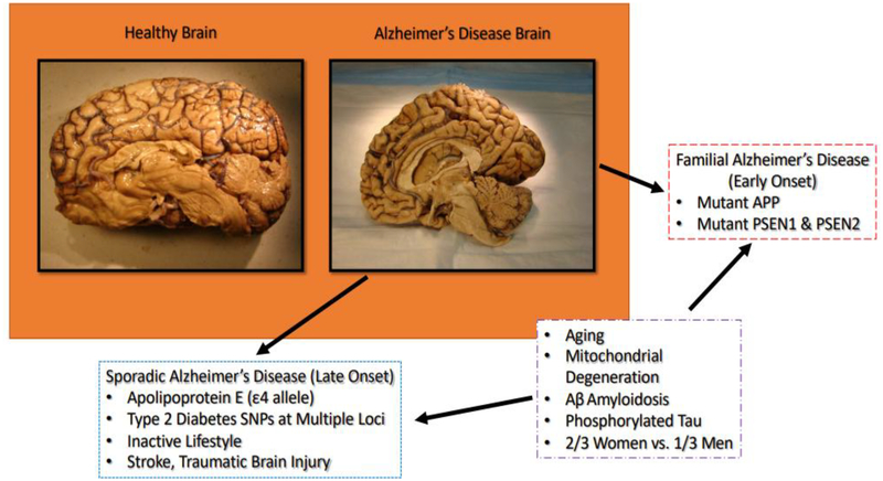 Figure 1: