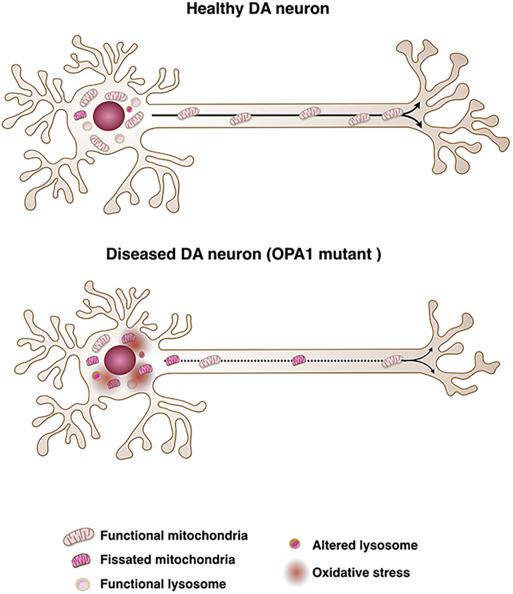 Figure 7