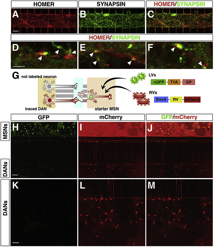 Figure 3