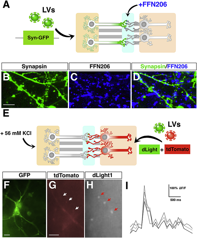 Figure 4