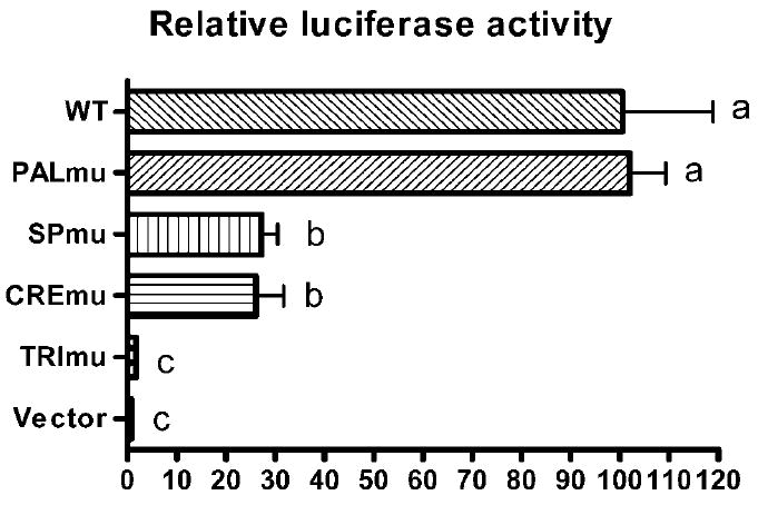 FIG. 6