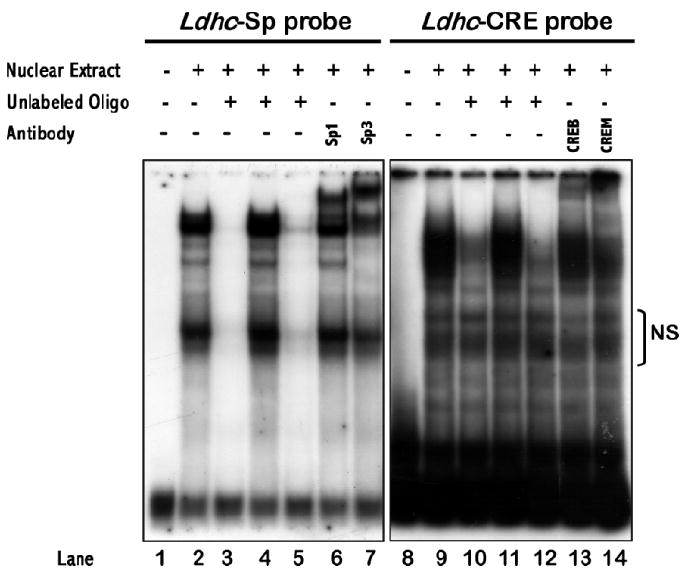 FIG. 7