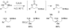 Scheme 4