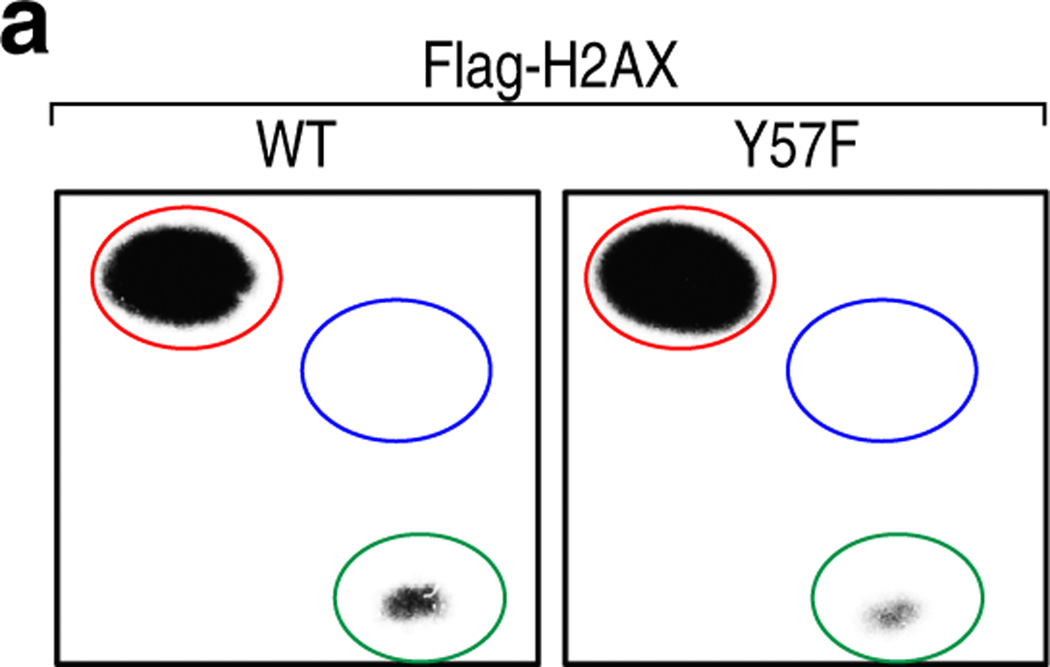 Extended Data Figure 2