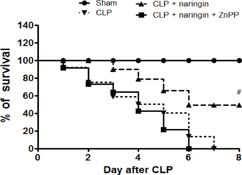 Fig 7