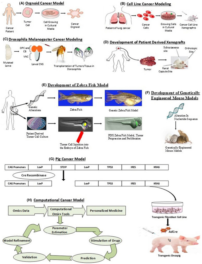 FIGURE 2