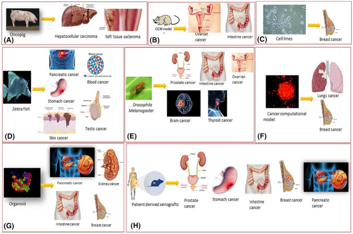 FIGURE 3