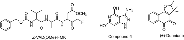 Figure 12