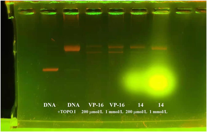 Figure 13