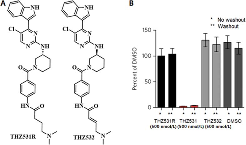 Figure 10