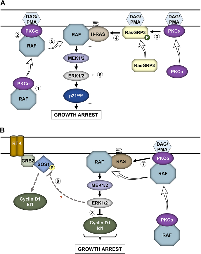 Figure 12