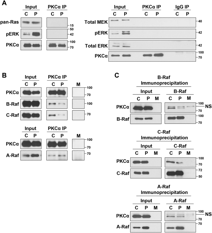 Figure 5