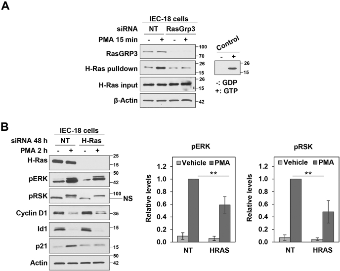 Figure 10