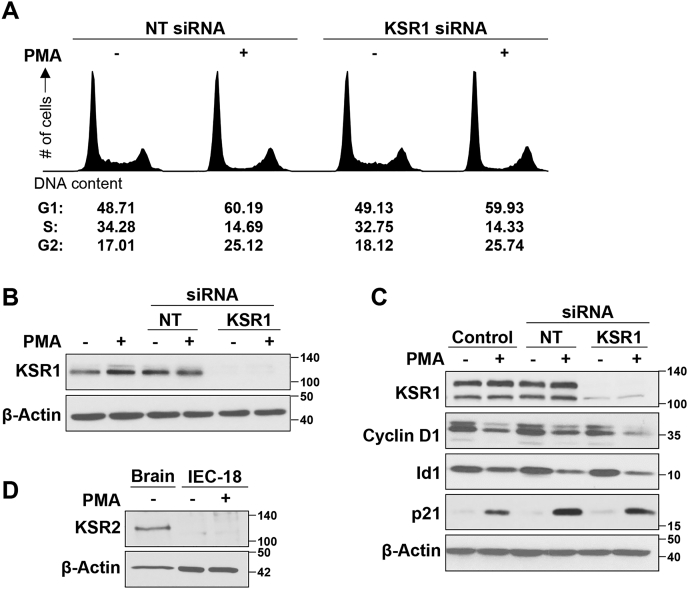 Figure 4