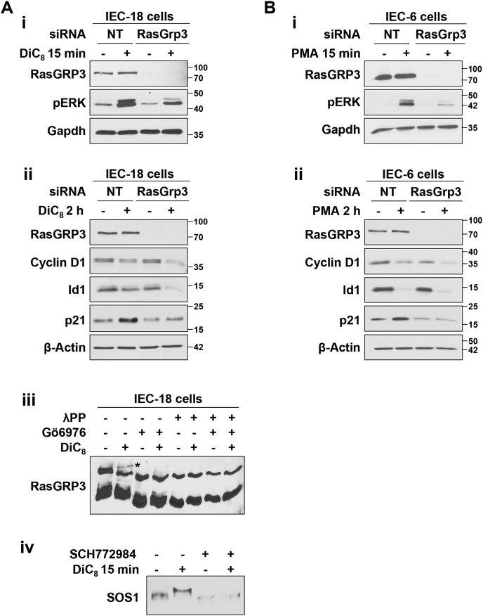 Figure 11