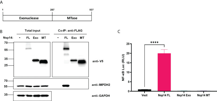 Figure 5