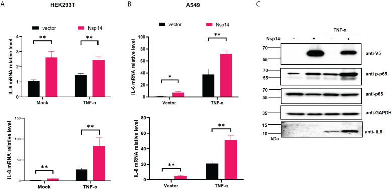 Figure 2