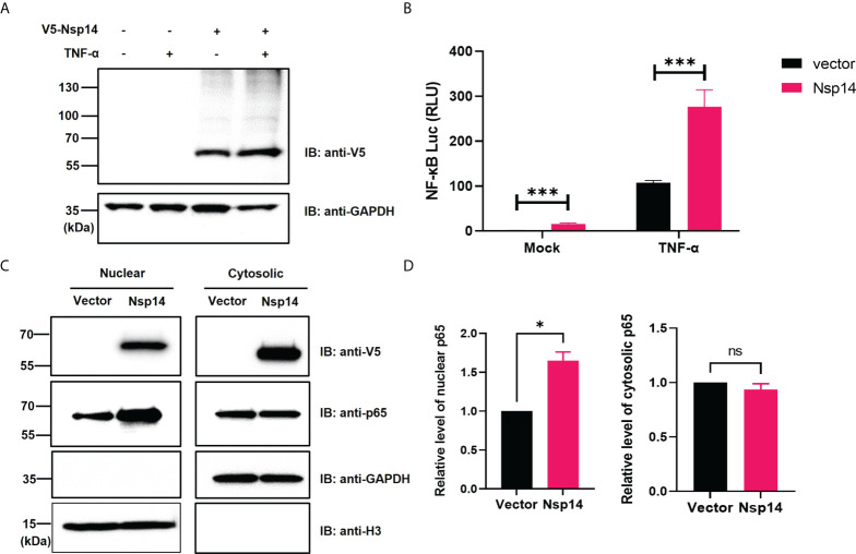 Figure 1