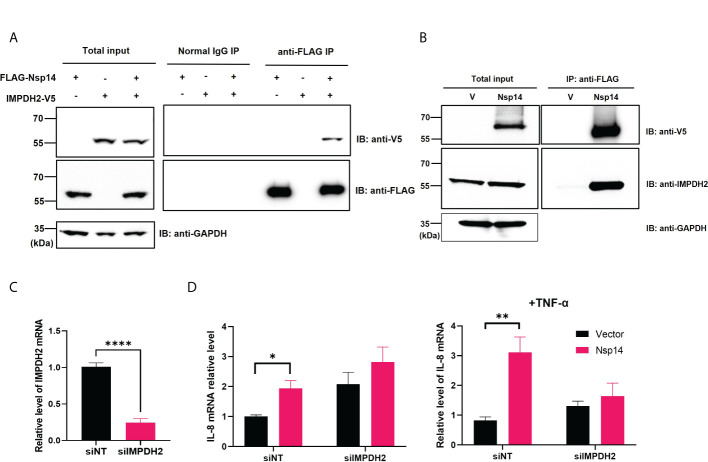 Figure 4