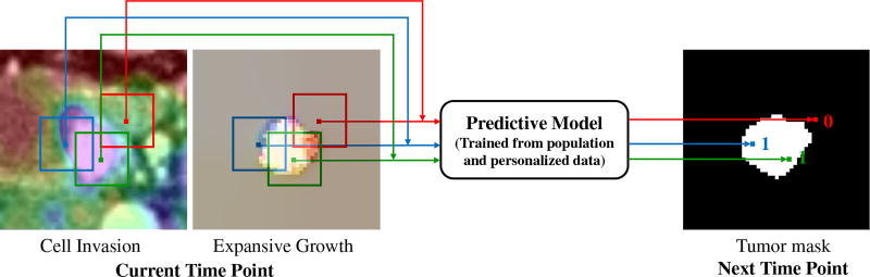 Fig. 2