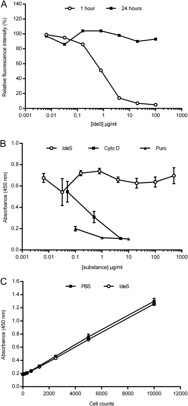 FIGURE 3.