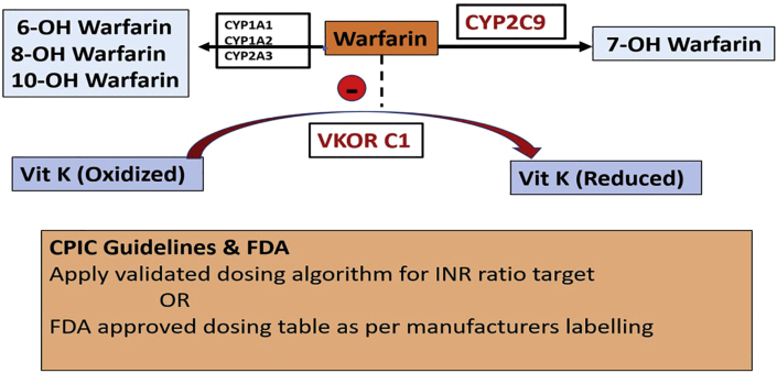 Fig. 8