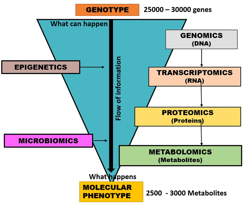 Fig. 4