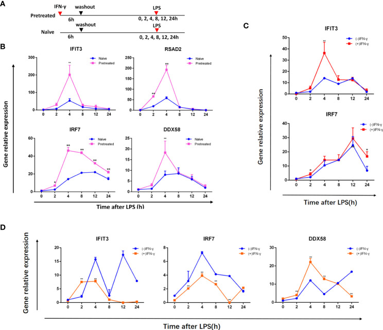 Figure 1