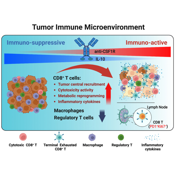 graphic file with name fx1.jpg