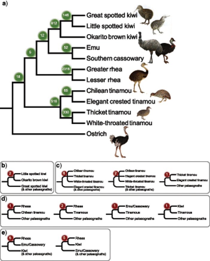 Figure 4.