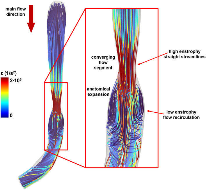 Fig. 8