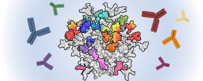 Unlabelled Image