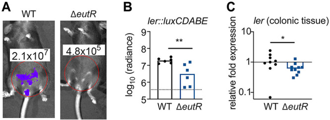 FIG 3