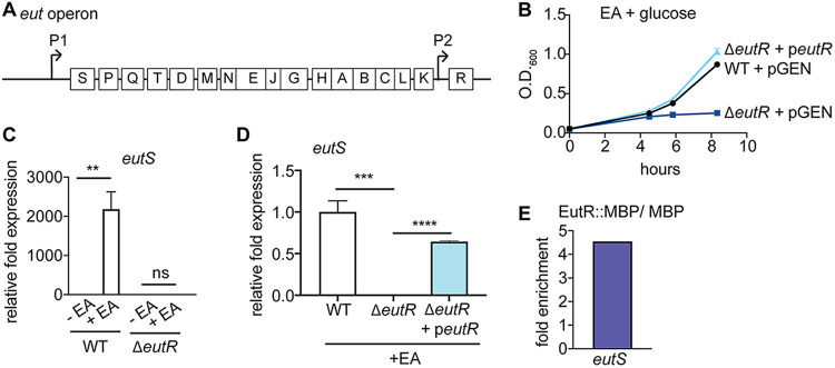 FIG 1