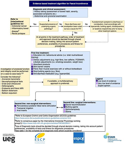 graphic file with name UEG2-10-251-g013.jpg