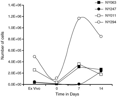 Fig. 2